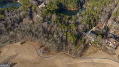 It's true, there are less expensive lots in the Orchard, until on The Orchard Golf and Country Club in Georgia - for sale on GolfHomes.com, golf home, golf lot