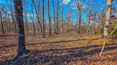 Discover the perfect canvas for your dream home on Muirfield on The Club At Porto Cima in Missouri - for sale on GolfHomes.com, golf home, golf lot