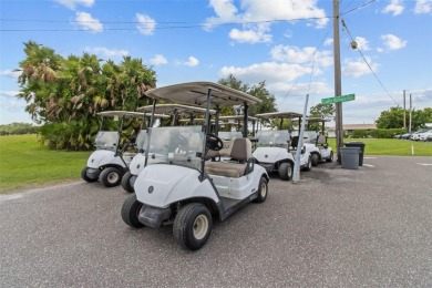 Welcome to your dream home! This beautifully updated 2-bedroom on Mainlands Golf Club in Florida - for sale on GolfHomes.com, golf home, golf lot