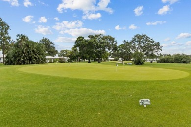 Welcome to your dream home! This beautifully updated 2-bedroom on Mainlands Golf Club in Florida - for sale on GolfHomes.com, golf home, golf lot