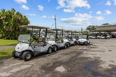 Welcome to your dream home! This beautifully updated 2-bedroom on Mainlands Golf Club in Florida - for sale on GolfHomes.com, golf home, golf lot