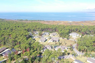 Discover exceptional coastal living in this stunning 3-bedroom on Peninsula Golf and Racquet Club in Alabama - for sale on GolfHomes.com, golf home, golf lot