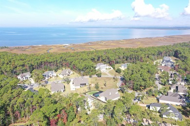 Discover exceptional coastal living in this stunning 3-bedroom on Peninsula Golf and Racquet Club in Alabama - for sale on GolfHomes.com, golf home, golf lot