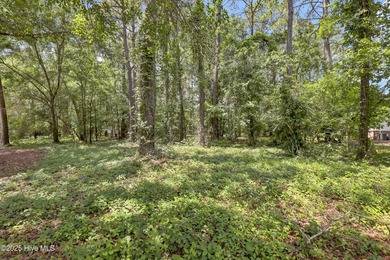 Residential parcel with mature trees set along the 3rd fairway on River Landing Golf Course in North Carolina - for sale on GolfHomes.com, golf home, golf lot