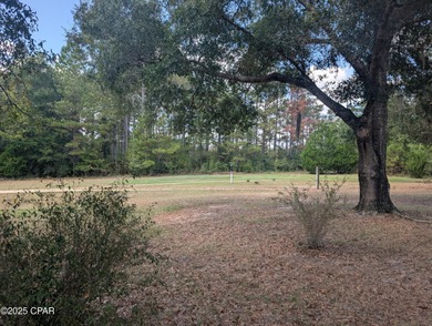 Rare Find! Historic Home, Owner says that this type of house on Dogwood Lakes Golf Club in Florida - for sale on GolfHomes.com, golf home, golf lot