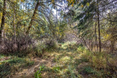 Experience the ultimate Montana lifestyle retreat, a remarkable on  in Montana - for sale on GolfHomes.com, golf home, golf lot