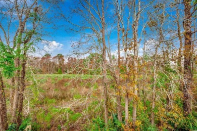 Welcome to this charming two-bedroom, two-bath condo in the on River Oaks Golf Plantation  in South Carolina - for sale on GolfHomes.com, golf home, golf lot