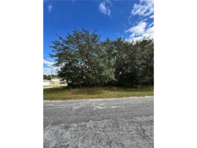 For Sale: Spacious .33 Acre Corner Lot in Citrus Springs, FL! on Pine Ridge Community Golf and Country Club in Florida - for sale on GolfHomes.com, golf home, golf lot