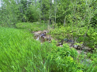 Remarks: Come take a look at this beautifully treed .66 acre lot on Iron Horse Golf Club in Montana - for sale on GolfHomes.com, golf home, golf lot