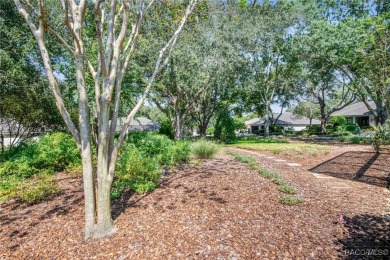 Black Diamond Ranch, located on the central ridge in the heart on Black Diamond Ranch Golf Course in Florida - for sale on GolfHomes.com, golf home, golf lot