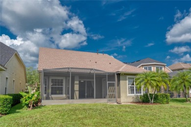 Luxury Living in Waterchase - Tampa's Premier Resort-Style on The Eagles Golf Course and Club in Florida - for sale on GolfHomes.com, golf home, golf lot
