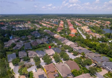 Luxury Living in Waterchase - Tampa's Premier Resort-Style on The Eagles Golf Course and Club in Florida - for sale on GolfHomes.com, golf home, golf lot