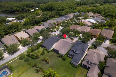 Luxury Living in Waterchase - Tampa's Premier Resort-Style on The Eagles Golf Course and Club in Florida - for sale on GolfHomes.com, golf home, golf lot