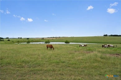 For those looking to live life without limits, this on Greenbrier Golf Club in Texas - for sale on GolfHomes.com, golf home, golf lot