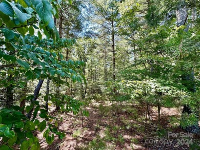 Located on Kingfisher Trace, an enclave of just 9 private lots on Marion Lake Club in North Carolina - for sale on GolfHomes.com, golf home, golf lot