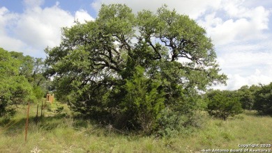 *Motivated Seller* This beautiful 0.39-acre lot sits on a quiet on Vaaler Creek Golf Club in Texas - for sale on GolfHomes.com, golf home, golf lot