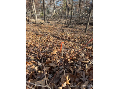 Discover the perfect setting for your dream home on this on The Club At Porto Cima in Missouri - for sale on GolfHomes.com, golf home, golf lot