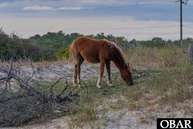 Seize the perfect opportunity to create your custom dream home on The Currituck Golf Club in North Carolina - for sale on GolfHomes.com, golf home, golf lot