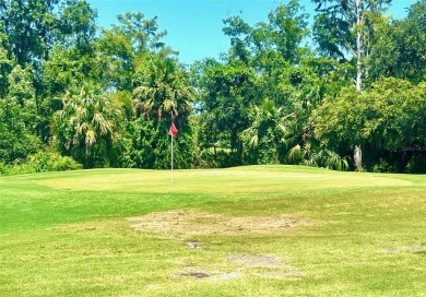 *This is in the Heart of Trinity/New Port Richey Florida* I on Seven Springs Golf and Country Club in Florida - for sale on GolfHomes.com, golf home, golf lot