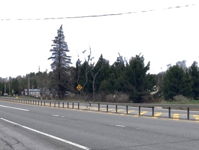 Behold a prime opportunity to establish your business in the on Alder Creek Golf Course in New York - for sale on GolfHomes.com, golf home, golf lot