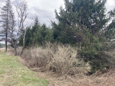 Behold a prime opportunity to establish your business in the on Alder Creek Golf Course in New York - for sale on GolfHomes.com, golf home, golf lot