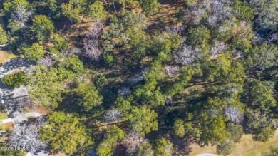 Discover an exceptional 1.44-acre homesite nestled at the end of on The Sanctuary Golf Club At Cat Island in South Carolina - for sale on GolfHomes.com, golf home, golf lot