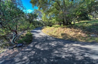 103 Brae Court is the spirit of design, the elegance of on Green Valley Country Club in California - for sale on GolfHomes.com, golf home, golf lot