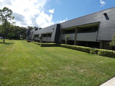 This stunning three-bedroom, two-bathroom home is located in a on Innisbrook Resort and Golf Club in Florida - for sale on GolfHomes.com, golf home, golf lot
