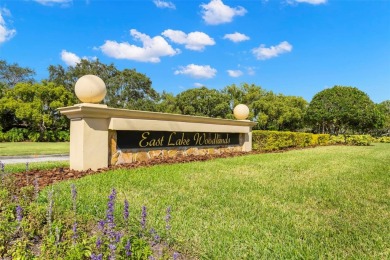 Welcome Home to East Lake Woodlands Beauty - WOW WOW WOW 
 on East Lake Woodlands Country Club in Florida - for sale on GolfHomes.com, golf home, golf lot