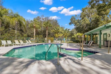 Welcome Home to East Lake Woodlands Beauty - WOW WOW WOW 
 on East Lake Woodlands Country Club in Florida - for sale on GolfHomes.com, golf home, golf lot