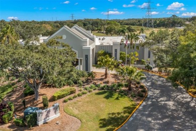 Welcome Home to East Lake Woodlands Beauty - WOW WOW WOW 
 on East Lake Woodlands Country Club in Florida - for sale on GolfHomes.com, golf home, golf lot