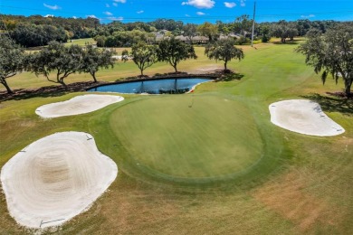Welcome Home to East Lake Woodlands Beauty - WOW WOW WOW 
 on East Lake Woodlands Country Club in Florida - for sale on GolfHomes.com, golf home, golf lot