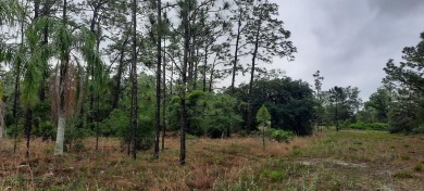 You have to come and see this spacious corner lot measuring a on Indian Lake Estates Golf and Country Club in Florida - for sale on GolfHomes.com, golf home, golf lot