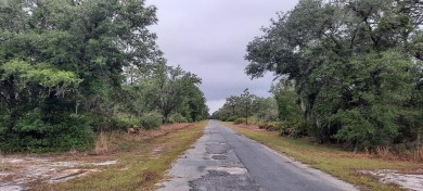 You have to come and see this spacious corner lot measuring a on Indian Lake Estates Golf and Country Club in Florida - for sale on GolfHomes.com, golf home, golf lot