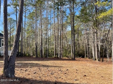 Rare Private Nature Preserve homesite with sneak peeks of #13 on Ocean Ridge Plantation in North Carolina - for sale on GolfHomes.com, golf home, golf lot
