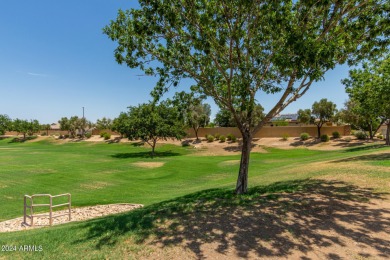 Located in Seville Golf & Country Club neighborhood!  3 bedroom on Seville Golf and Country Club in Arizona - for sale on GolfHomes.com, golf home, golf lot