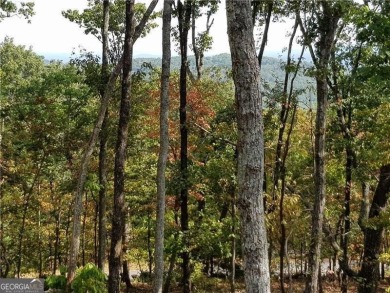 VIEWS! Build your forever dream home with amazing 270 degree on Big Canoe Golf Club - Cherokee in Georgia - for sale on GolfHomes.com, golf home, golf lot