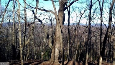 VIEWS! Build your forever dream home with amazing 270 degree on Big Canoe Golf Club - Cherokee in Georgia - for sale on GolfHomes.com, golf home, golf lot