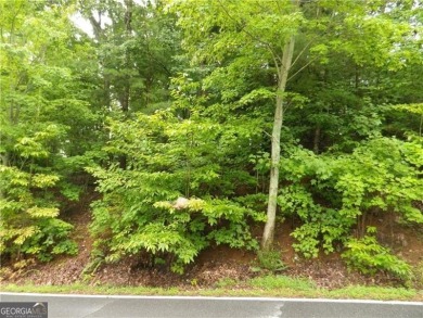 VIEWS! Build your forever dream home with amazing 270 degree on Big Canoe Golf Club - Cherokee in Georgia - for sale on GolfHomes.com, golf home, golf lot