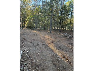 Discover luxury in this new construction home nestled in the on Magellan Golf Course in Arkansas - for sale on GolfHomes.com, golf home, golf lot