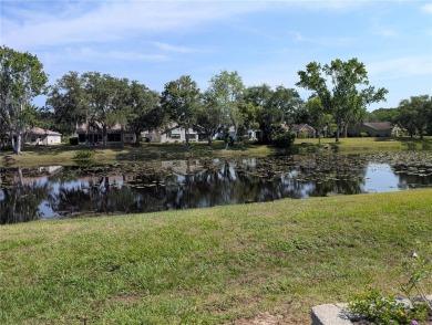 **Seller is offering an $10,000 credit for roof replacement** on Point O Woods Golf Club in Florida - for sale on GolfHomes.com, golf home, golf lot