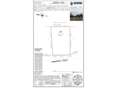 Discover the perfect canvas for your dream home at 119 Cimarron on The Club At Runaway Bay in Texas - for sale on GolfHomes.com, golf home, golf lot