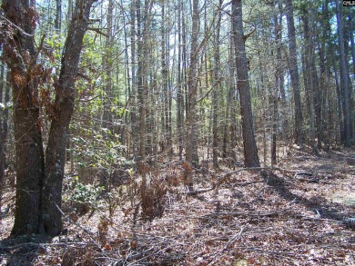 Wooded lots with no restrictions.  This parcel combines 5 on Oak Hills Golf Club in South Carolina - for sale on GolfHomes.com, golf home, golf lot