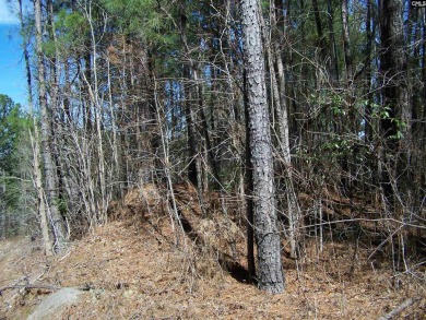 Wooded lots with no restrictions.  This parcel combines 5 on Oak Hills Golf Club in South Carolina - for sale on GolfHomes.com, golf home, golf lot