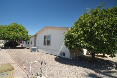 Come see this well maintained Manufactured home in 55+ on Sun City Riverview Golf Course in Arizona - for sale on GolfHomes.com, golf home, golf lot