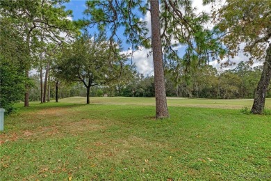 Carefree Living with Golf Course Views - Ground-Level End Unit! on Sugarmill Woods Golf and Country Club in Florida - for sale on GolfHomes.com, golf home, golf lot
