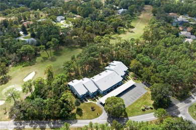 Carefree Living with Golf Course Views - Ground-Level End Unit! on Sugarmill Woods Golf and Country Club in Florida - for sale on GolfHomes.com, golf home, golf lot