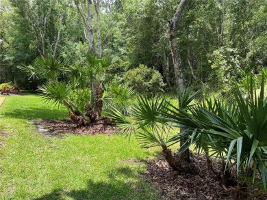 Rare Find! Enjoy tranquil, private conservation views and local on Lansbrook Golf Club in Florida - for sale on GolfHomes.com, golf home, golf lot