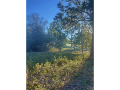 Desirable lot located on Royal Tern Way. Property is due east on St. James Bay in Florida - for sale on GolfHomes.com, golf home, golf lot