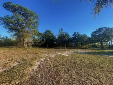 Desirable lot located on Royal Tern Way. Property is due east on St. James Bay in Florida - for sale on GolfHomes.com, golf home, golf lot
